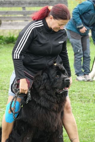 k-DSC02430