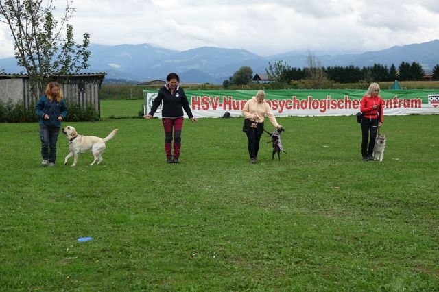 k-DSC02461