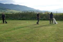 Hundeschule am 29.08.2026