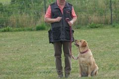 Hundeschule am 30.05.2026