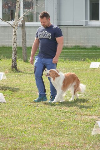 k-DSC00898