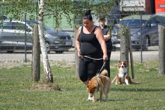 k-DSC00943