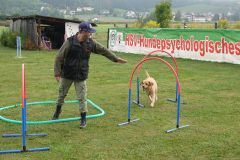 Hundeschule am 30.08.2025