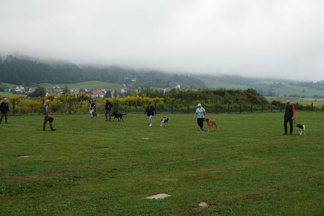 k-DSC01882