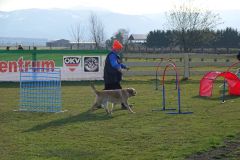 Hundeschule am28.03.2026