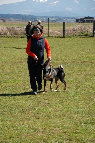 k-DSC_0950
