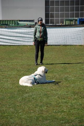 k-DSC_0956