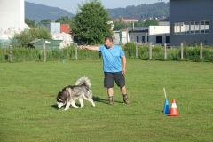 Hundeschule, Welpen- und Junghundeprüfung am 18.06.2022