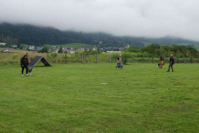 k-DSC01487