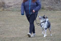 Kontakttag am 14.02.2026