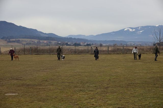 k-DSC03879