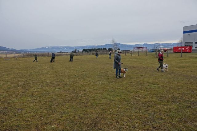 k-DSC04019