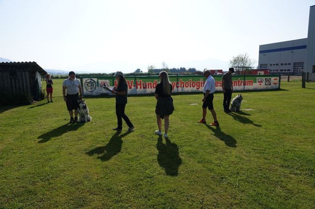 k-DSC01068
