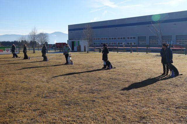 k-DSC08467