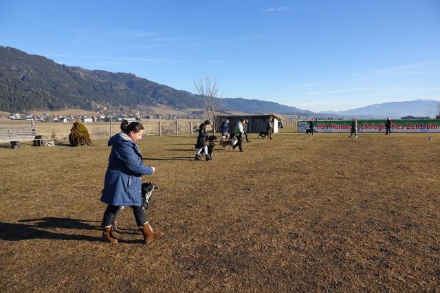 k-DSC08526