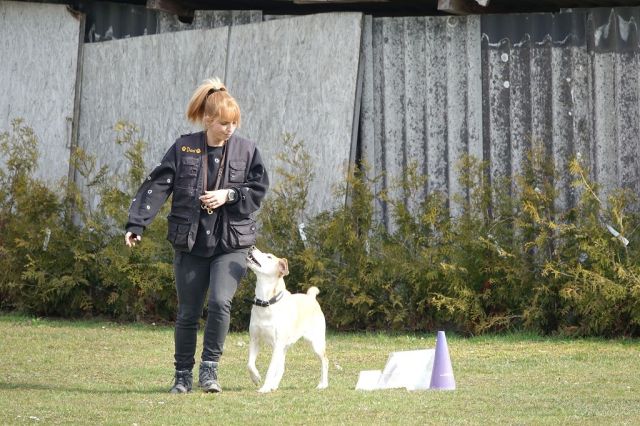 k-DSC04224