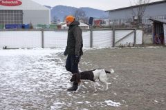 Winterkontakttag für die Welpen, Trainerübungen